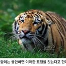 CO.CO헤어룸 이미지
