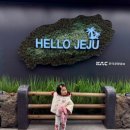 281 | 두돌 아기랑 제주도 여행 | 이스타항공 ZE281 탑승 후기, 김포 제주 LCC 솔직 리뷰