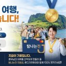 혼디가자