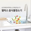 웰릭스렌탈비