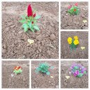 버들농장 이미지