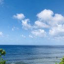 다복 발전소 | 코시국 - 괌닛코 호텔 안내 및 후기