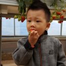 건일농장 이미지