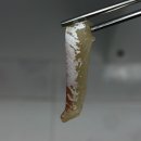 맛나라꼬치 이미지