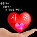 가장 아름다운 사람 이미지