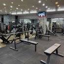 머슬컴퍼니 이미지