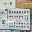 샐러디 서울시청점 이미지