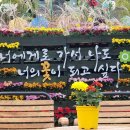 송죽칼국수 이미지