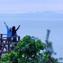 가래칠기 이미지