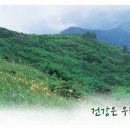 지리산토종약재