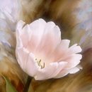 보테니컬 아트 이미지