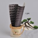 쇼미더원단