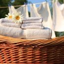 세종명품세탁 이미지