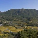 황매축산 이미지