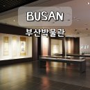 부산박물관 무료 전시 정보 비오는 날 가볼만한 부산 역사박물관