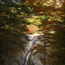 풀잎향기 이미지