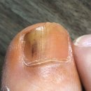 서울굿내과의원 이미지