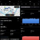 군자교 | 2026 서울마라톤 완주 후기