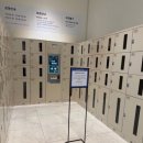 도제랑 | 신세계백화점 의정부점 또이또이, 도제 솔직후기(백화점 물품보관함)