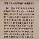 양파시배지 티스토리
