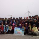 야생화답사 이미지