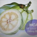 헬스드림 이미지