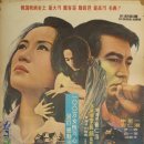 별들의고향 - 강릉시 | 별들의고향