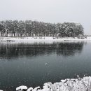 삼척 월천리 이미지