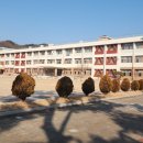 죽향초등학교