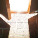 The Father 이미지