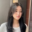 애채 합정