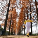 KT곡성지사 이미지