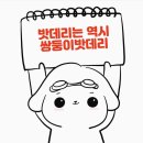 신형밧데리 이미지