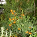 평택농업박물관 이미지