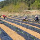 남울진농업 협동조합 이미지