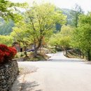 계명산자연휴양림 이미지