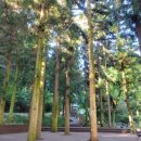 팔경하우스 이미지