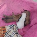 에그머니농장 이미지