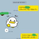 브리즈번 한인택시 후기 | 새벽 도착 후 브리즈번공항픽업 이용한 실제 경험