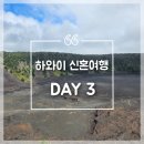 네네치킨(우산소촌점) | [하와이 신혼여행] DAY 3: 화산국립공원 | 푸날루우 블랙샌드비치