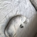 양산성모안과의원 이미지