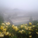 갈전농장 이미지