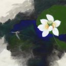밤비상사
