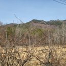 우보공인중개사사무소 이미지