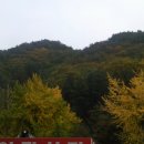 달기약수탕 이미지