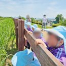 장등농장 이미지