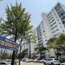 6단지 Daum카페