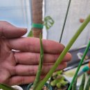 [10/20]가드닝 클래스 이미지