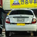 유로(YoLo) 이미지