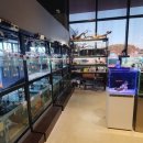 카페브런 이미지